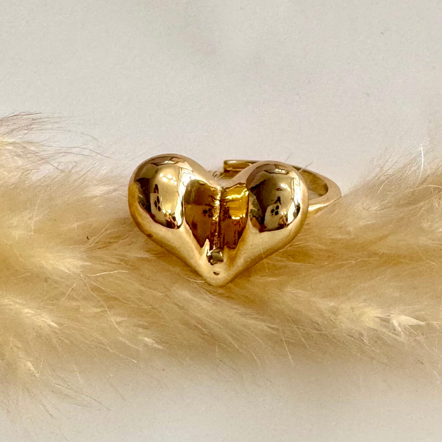 667 Anillo Corazón Maxi de Rodio