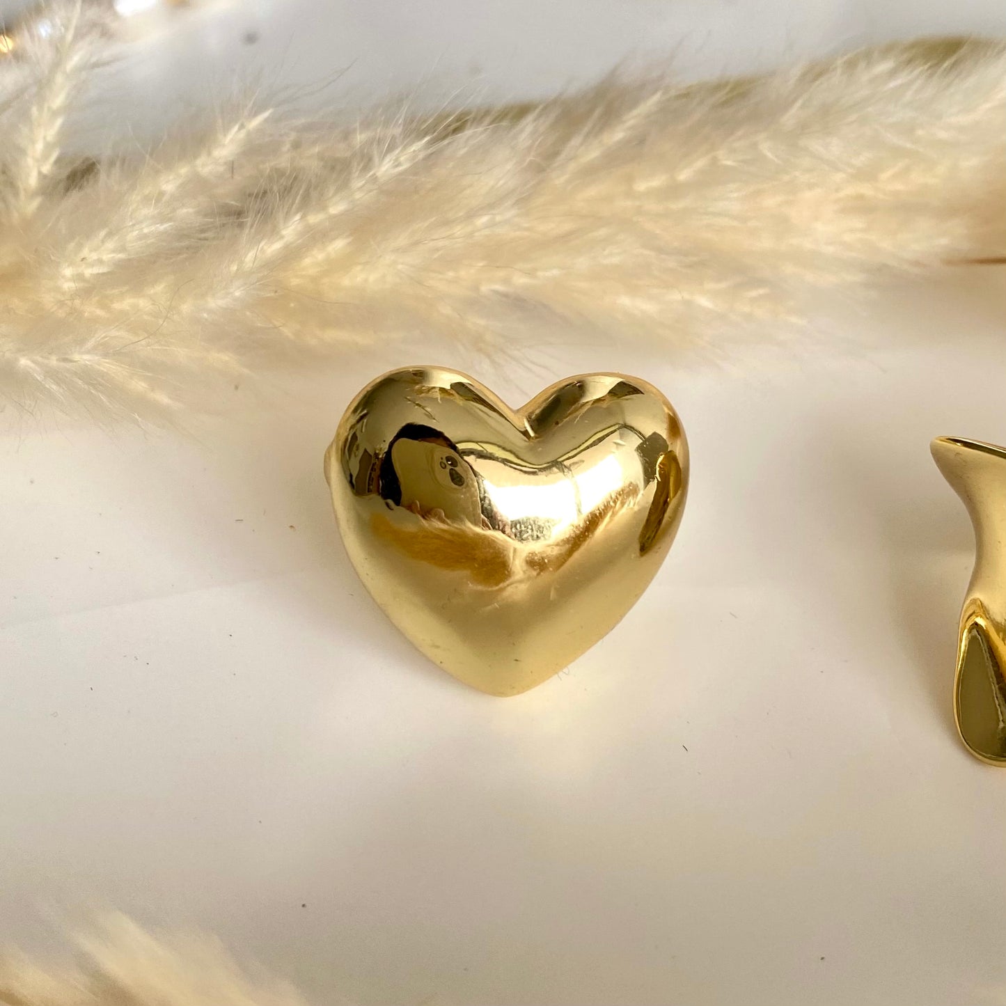 Anillo Corazón Maxi de Rodio